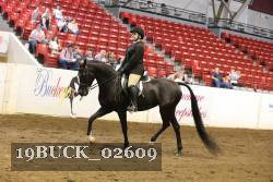 19BUCK_02609 proof