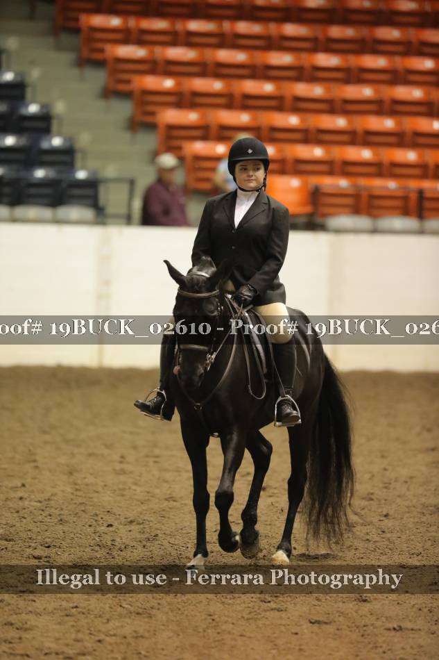 Proof 19BUCK_02610