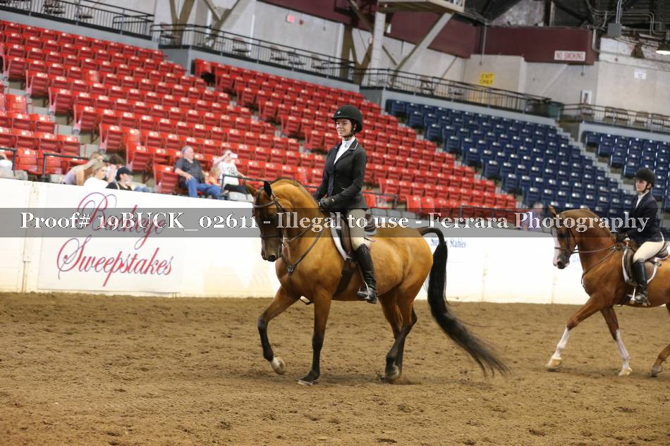 Proof 19BUCK_02611