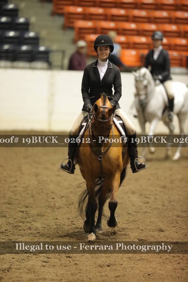 Proof 19BUCK_02612