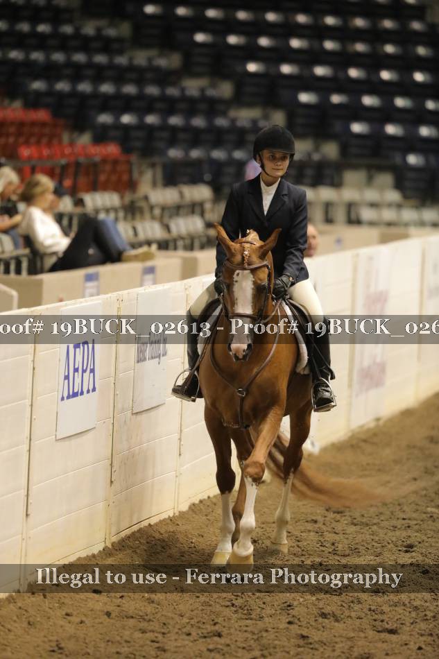 Proof 19BUCK_02613