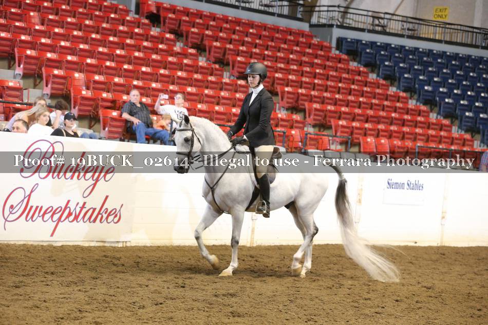 Proof 19BUCK_02614