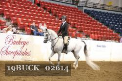19BUCK_02614 proof