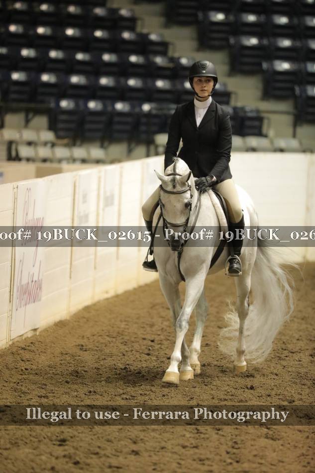Proof 19BUCK_02615