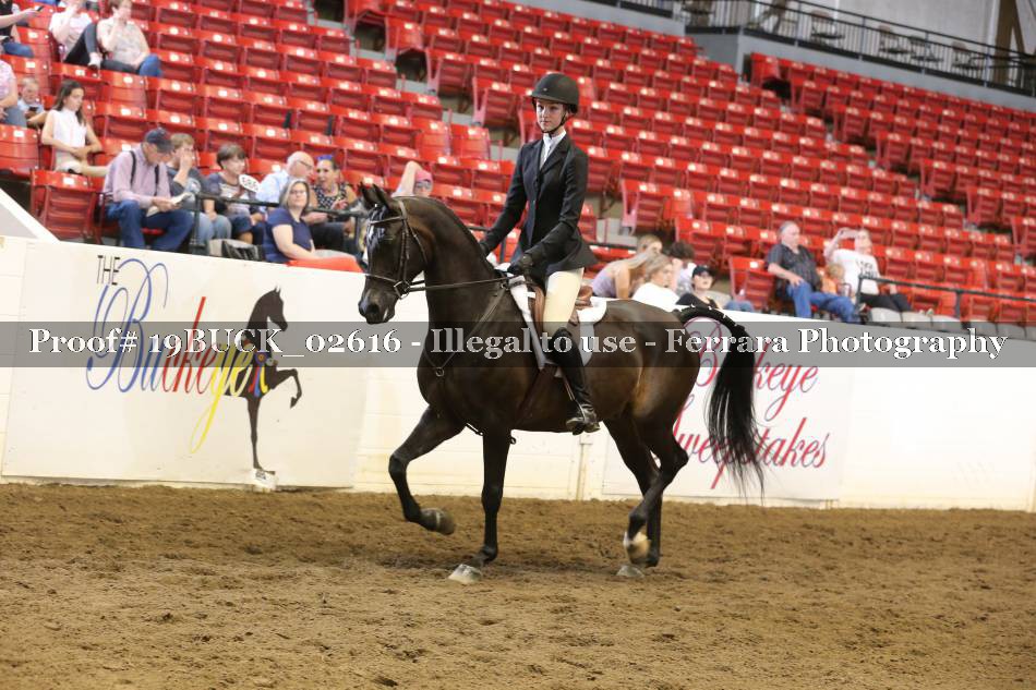 Proof 19BUCK_02616