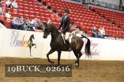 19BUCK_02616 proof