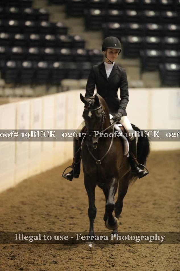 Proof 19BUCK_02617