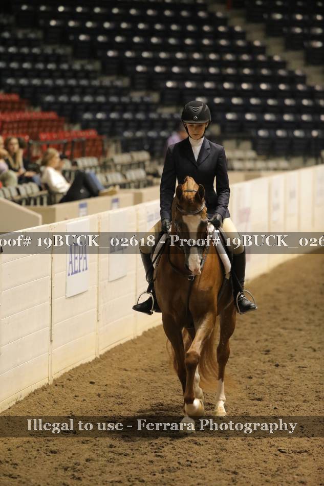 Proof 19BUCK_02618