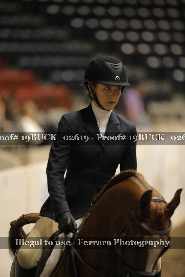 Proof 19BUCK_02619