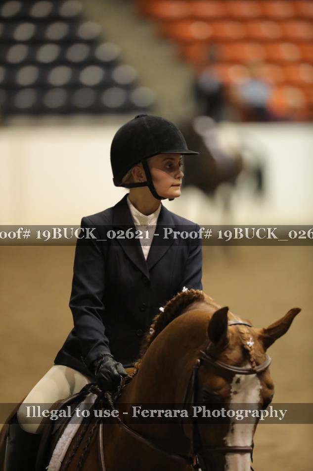 Proof 19BUCK_02621