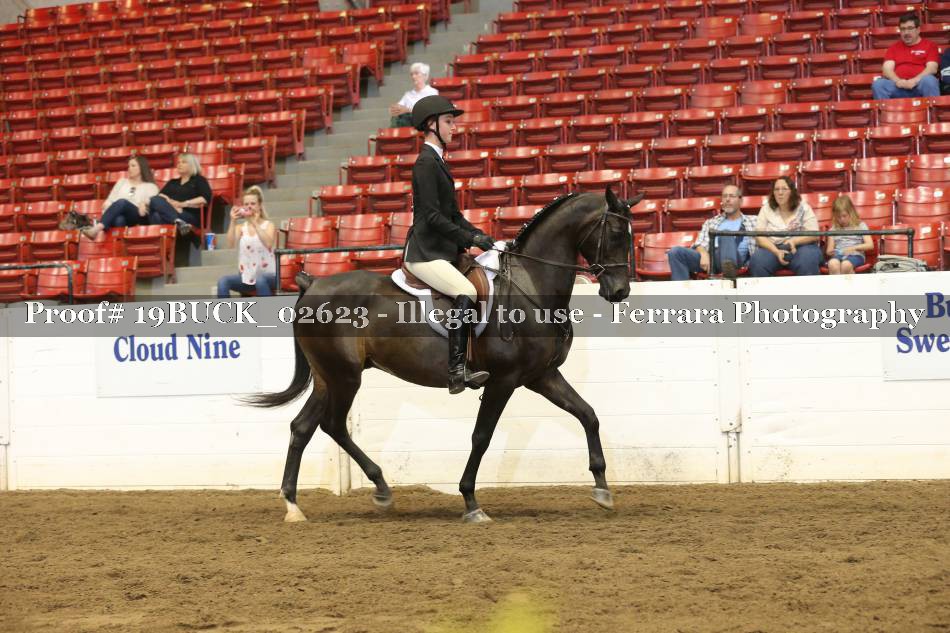 Proof 19BUCK_02623