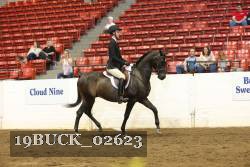 19BUCK_02623 proof