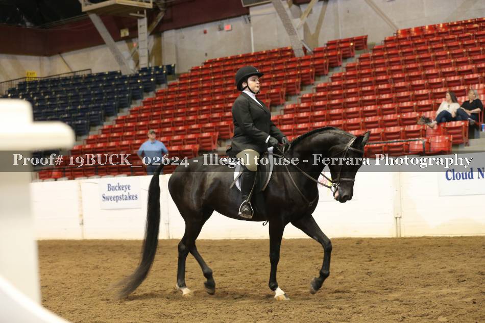 Proof 19BUCK_02624