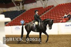 19BUCK_02624 proof