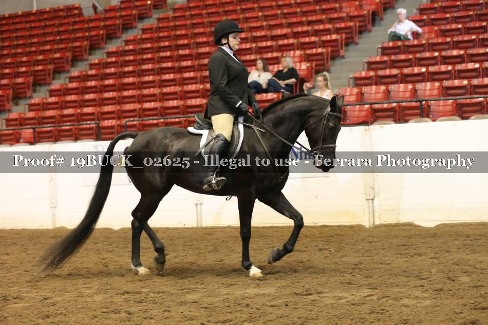 Proof 19BUCK_02625