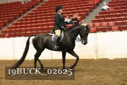 19BUCK_02625 proof