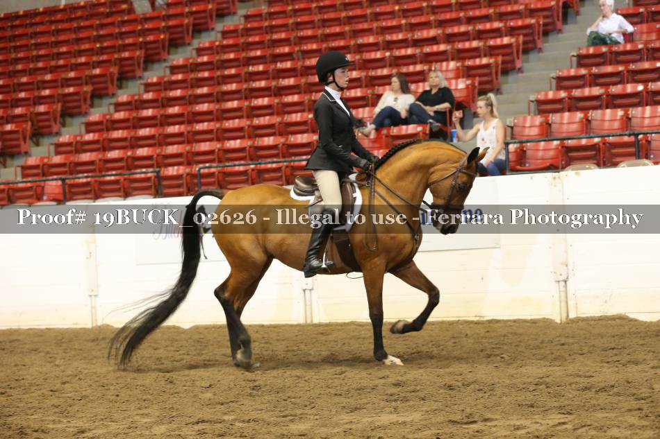 Proof 19BUCK_02626