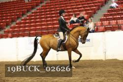 19BUCK_02626 proof