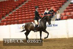 19BUCK_02627 proof