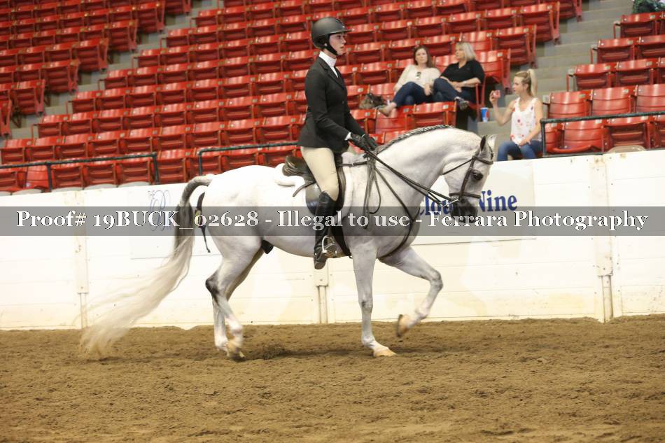 Proof 19BUCK_02628