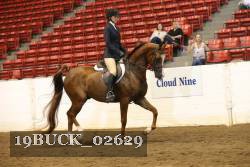 19BUCK_02629 proof