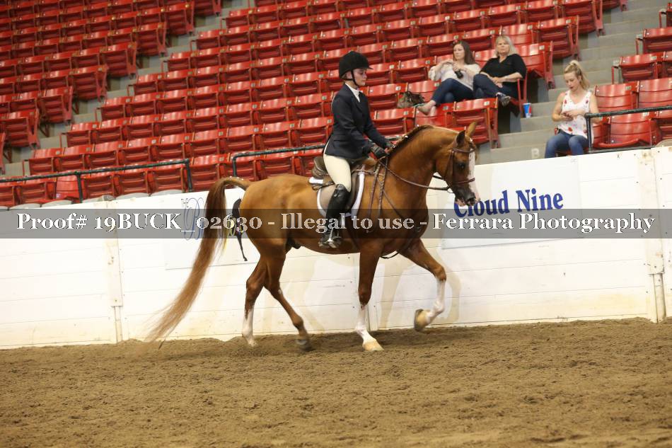 Proof 19BUCK_02630