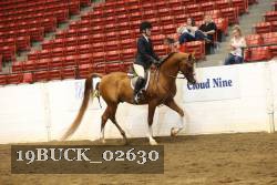 19BUCK_02630 proof