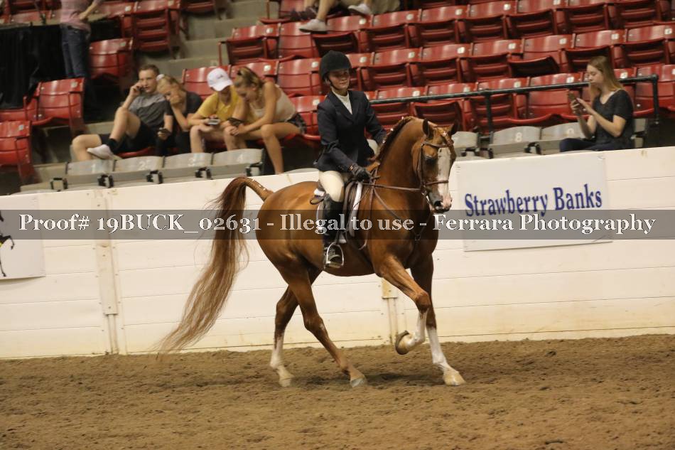 Proof 19BUCK_02631
