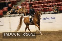 19BUCK_02631 proof