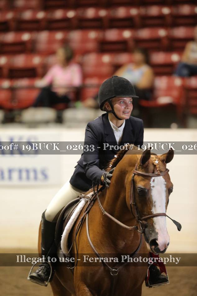 Proof 19BUCK_02633