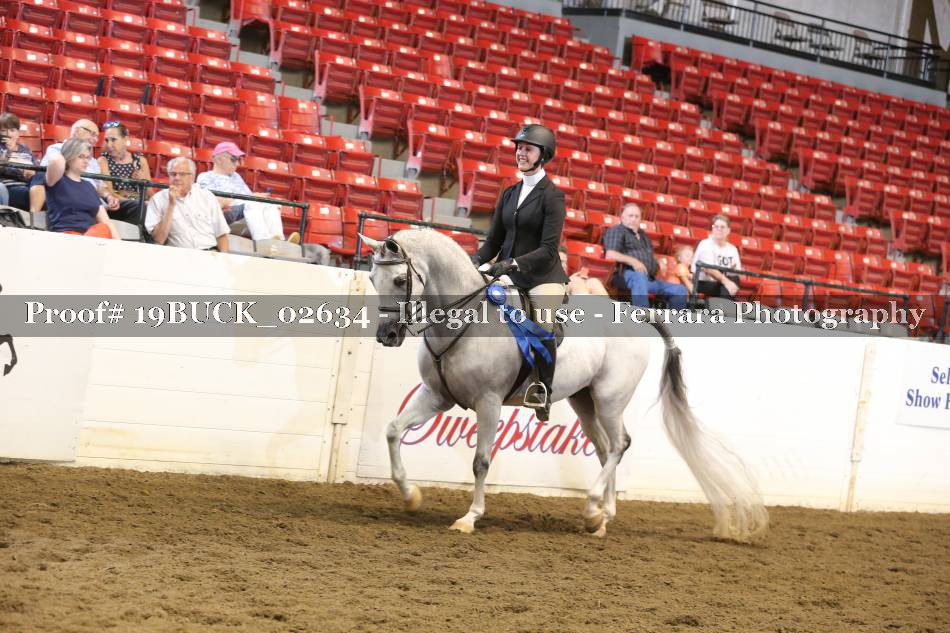 Proof 19BUCK_02634