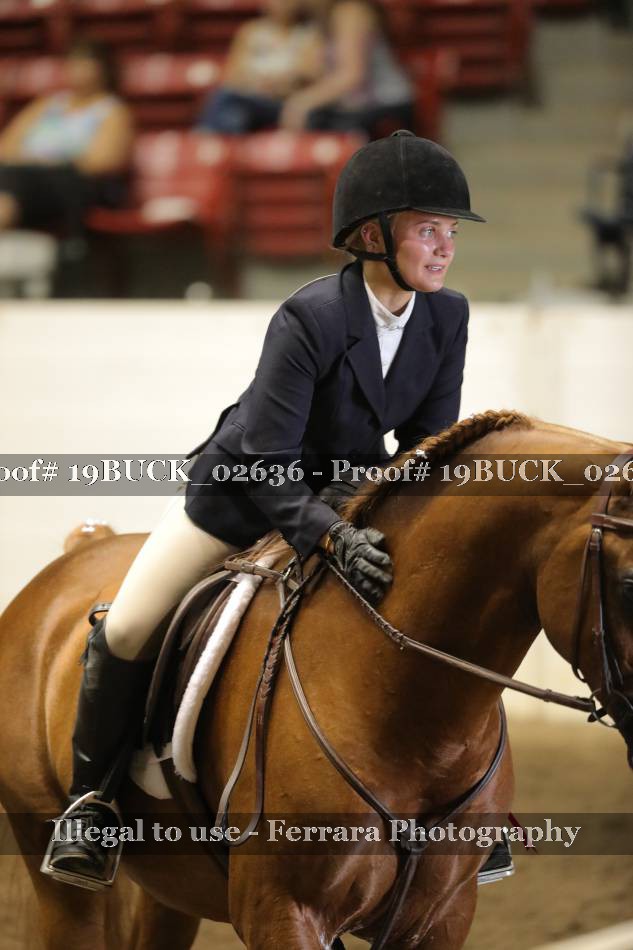 Proof 19BUCK_02636