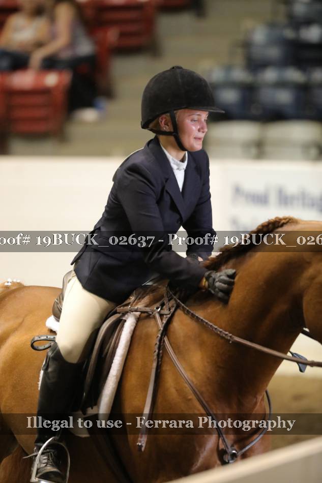 Proof 19BUCK_02637