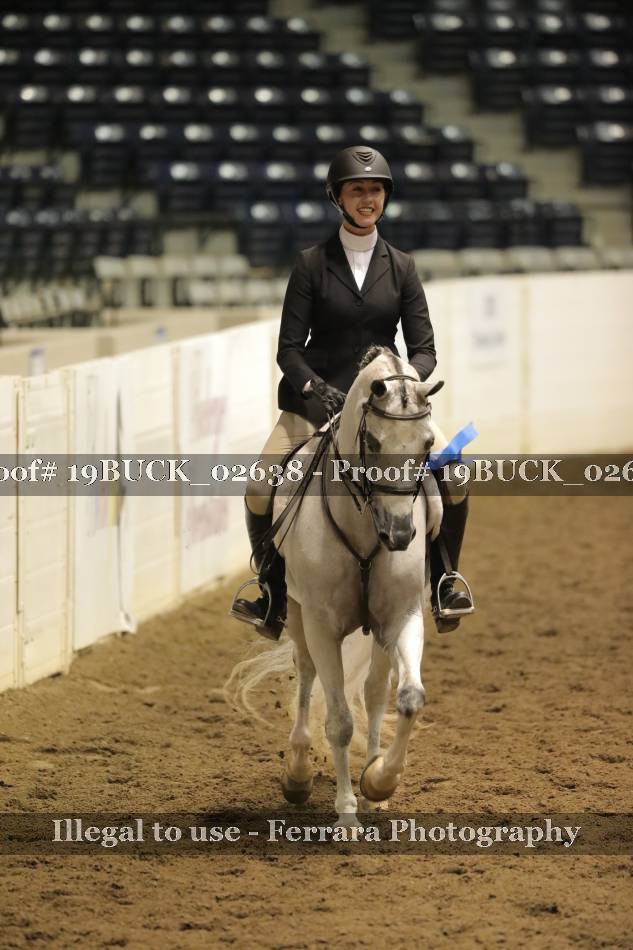 Proof 19BUCK_02638