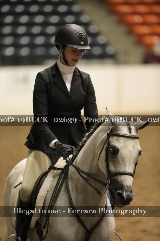 Proof 19BUCK_02639