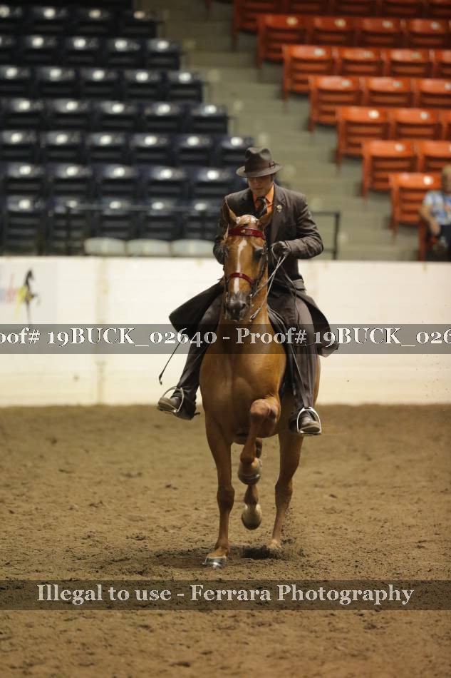 Proof 19BUCK_02640