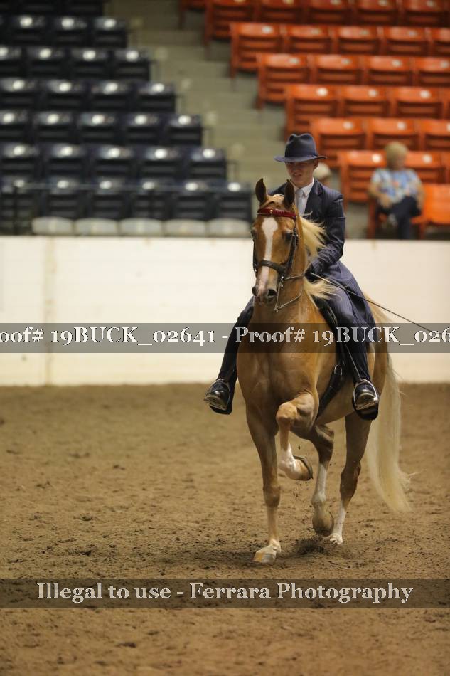 Proof 19BUCK_02641