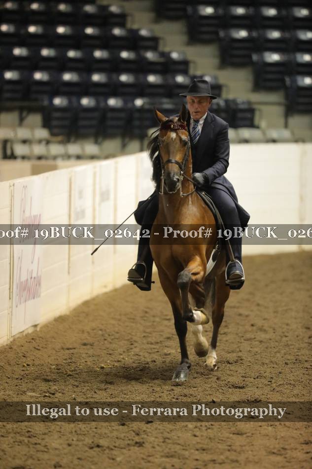 Proof 19BUCK_02642