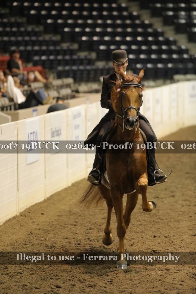 Proof 19BUCK_02643
