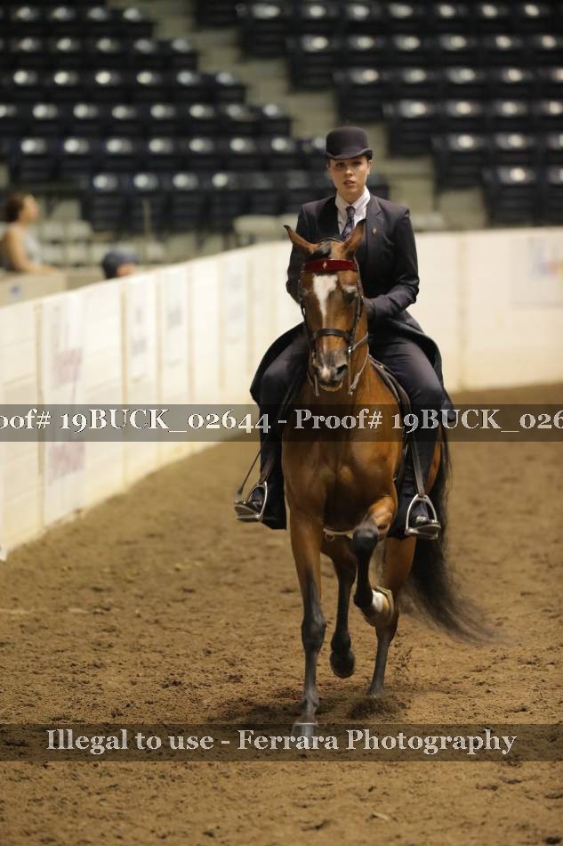Proof 19BUCK_02644