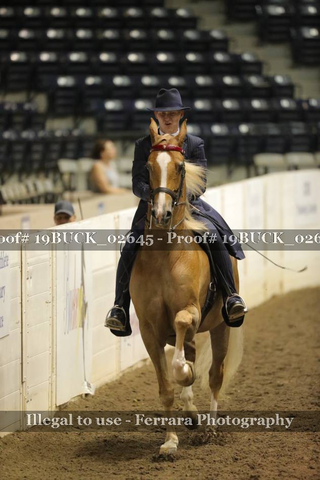 Proof 19BUCK_02645