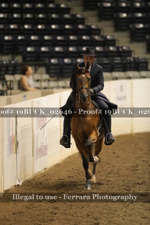 Proof 19BUCK_02646
