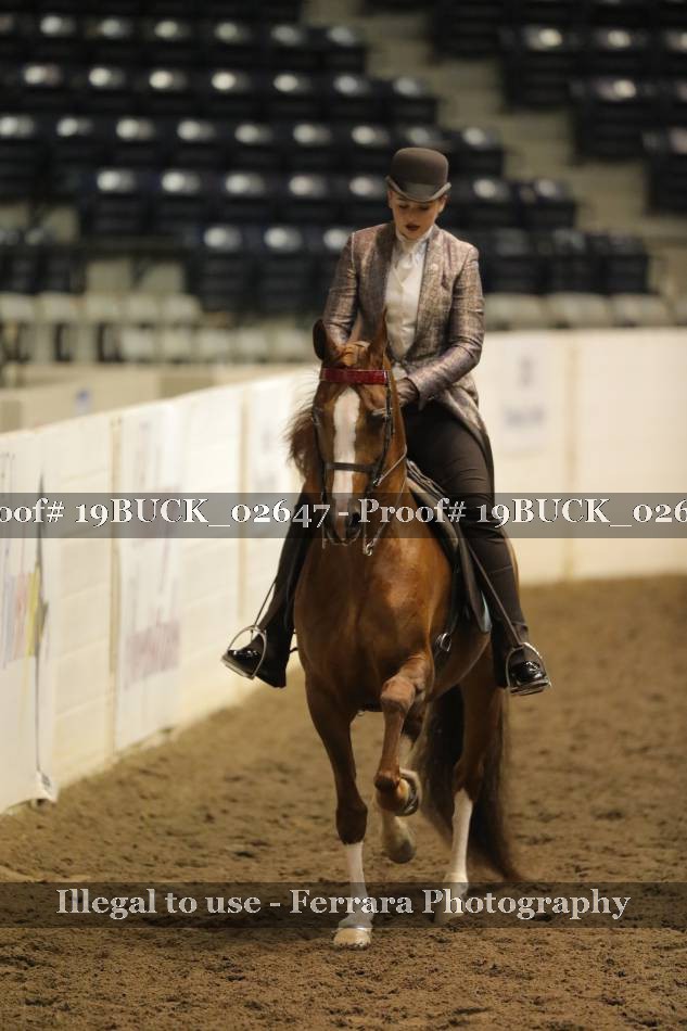 Proof 19BUCK_02647