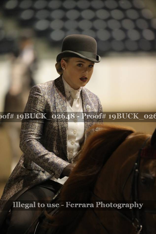 Proof 19BUCK_02648