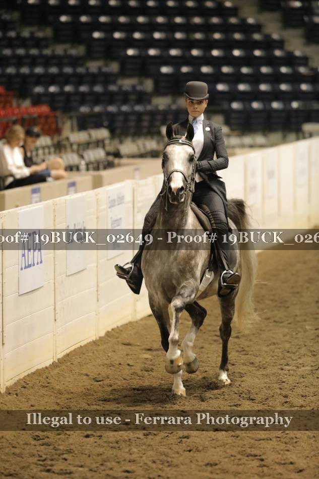Proof 19BUCK_02649