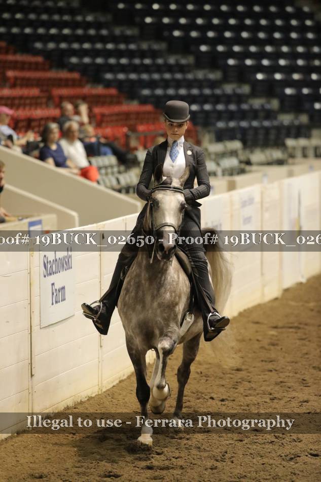 Proof 19BUCK_02650