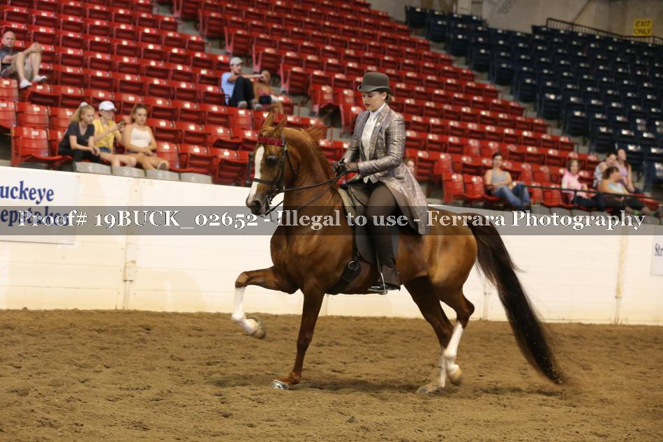 Proof 19BUCK_02652