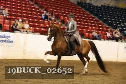 19BUCK_02652 proof