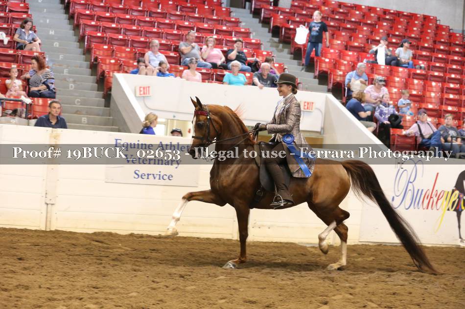 Proof 19BUCK_02653