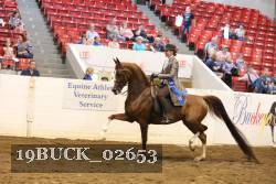 19BUCK_02653 proof